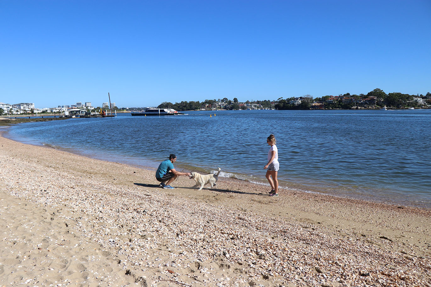 Cabarita beach