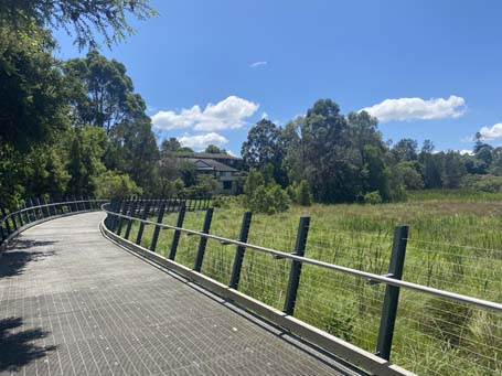 Baludarri Wetland