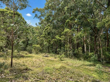 Wategora Reserve